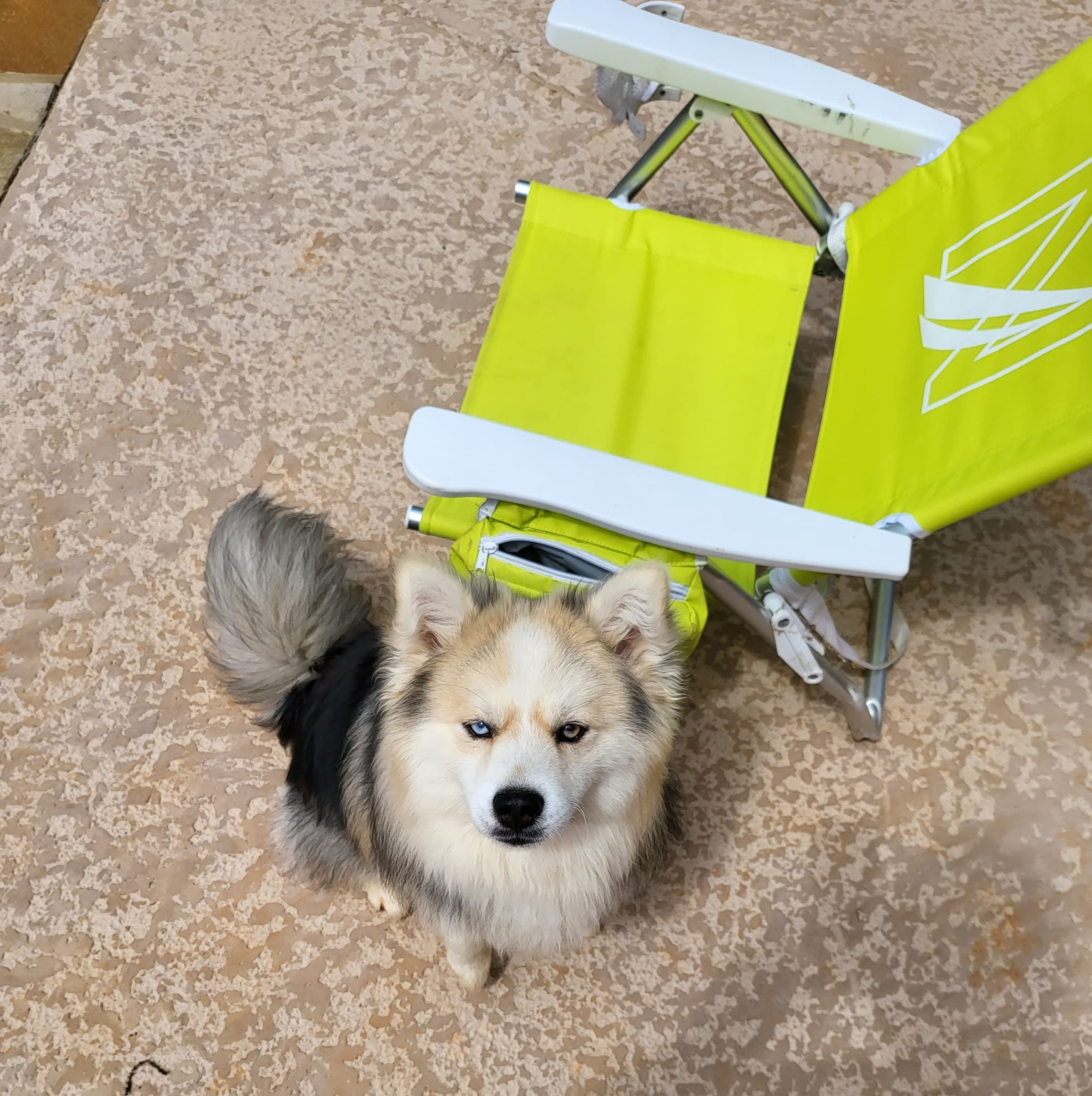Winston photo